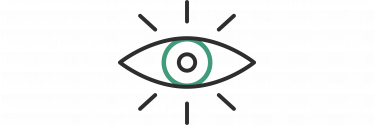 vision icon