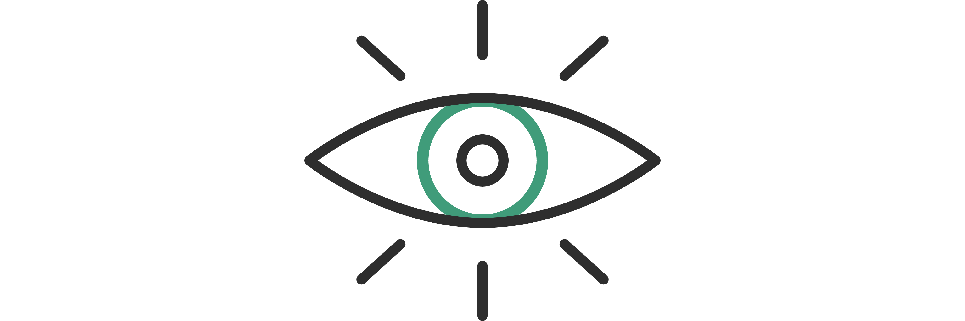 vision icon